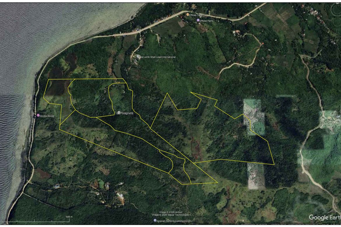 Land for Sale in Agpudlos, San Andres, Romblon – photo 3