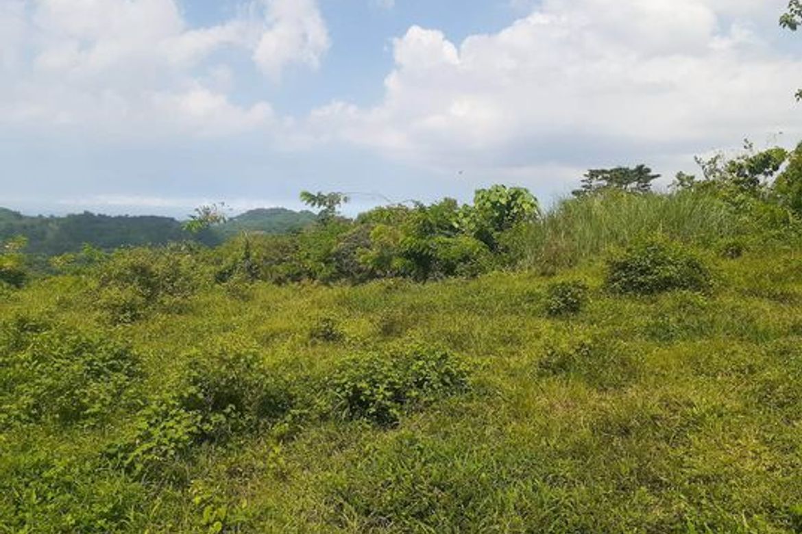 Land for Sale in Agsungot, Cebu City, Cebu