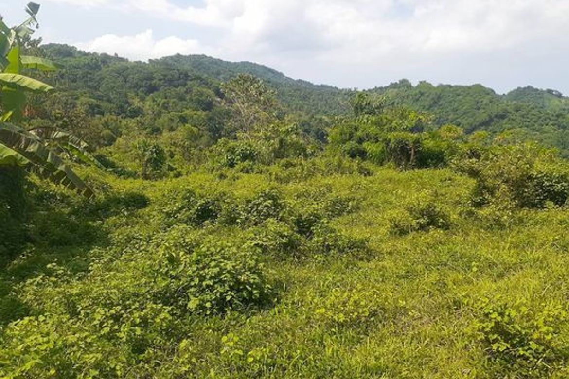 Land for Sale in Agsungot, Cebu City, Cebu – photo 3