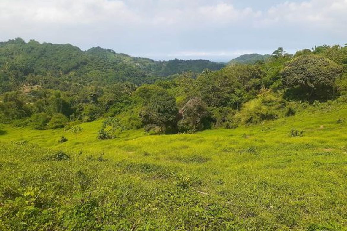 Land for Sale in Agsungot, Cebu City, Cebu – photo 5