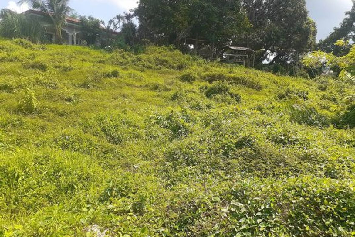 Land for Sale in Agsungot, Cebu City, Cebu – photo 6