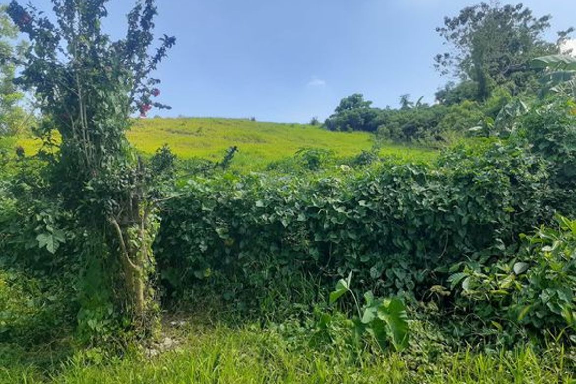 Land for Sale in Agsungot, Cebu City, Cebu – photo 7