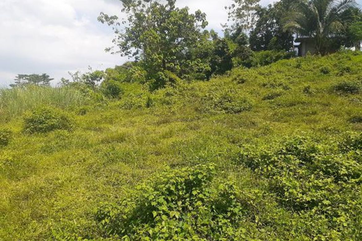Land for Sale in Agsungot, Cebu City, Cebu – photo 8
