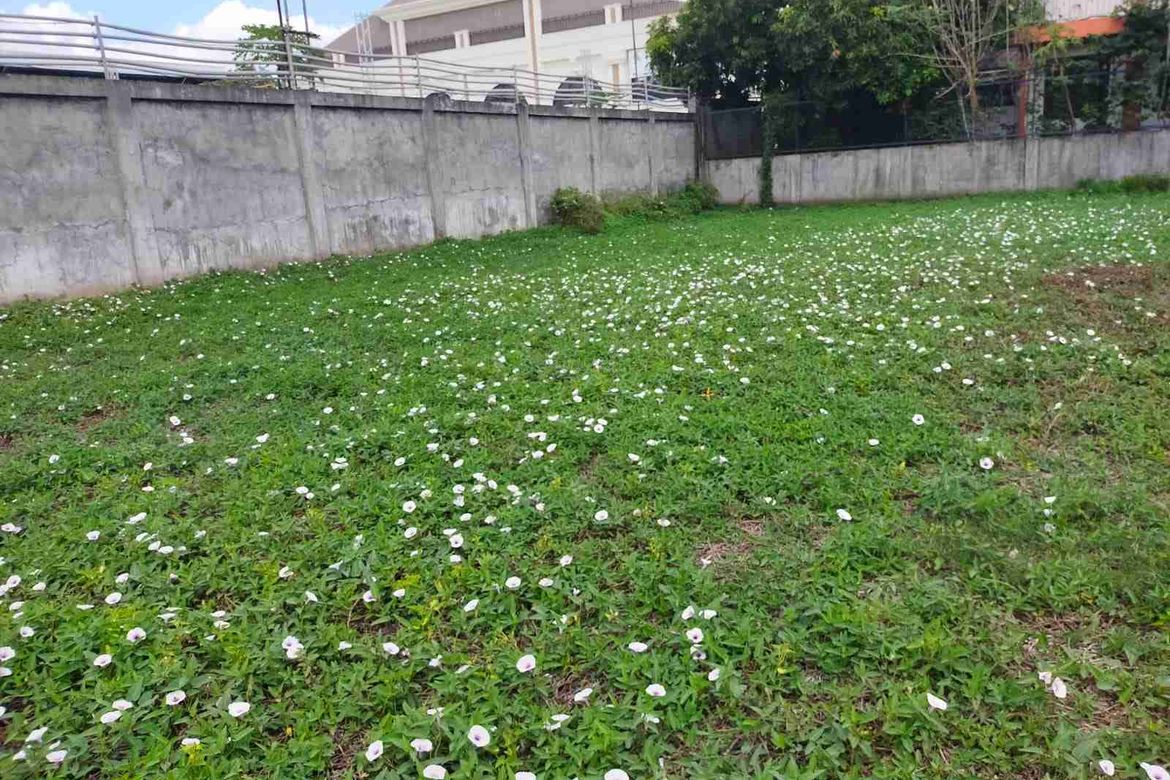 Land for Sale in Aguado, Trece Martires, Cavite – photo 2