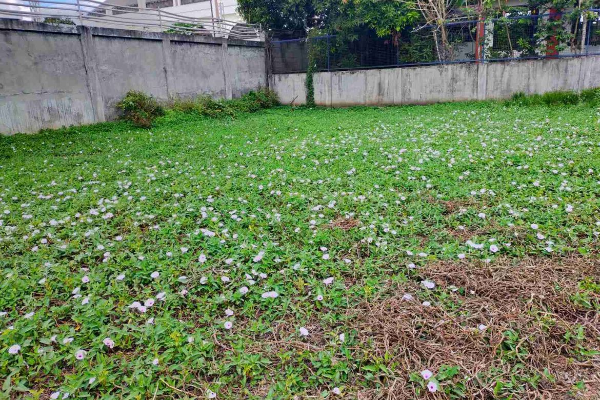Land for Sale in Aguado, Trece Martires, Cavite – photo 3