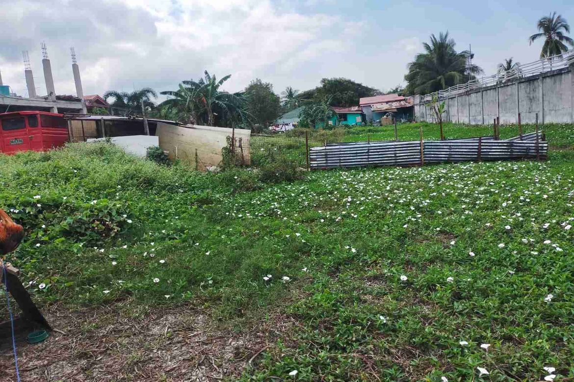 Land for Sale in Aguado, Trece Martires, Cavite – photo 4