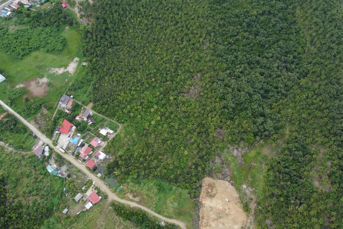 Land for Sale in Aguit-Itan, Calbayog, Samar – photo 5