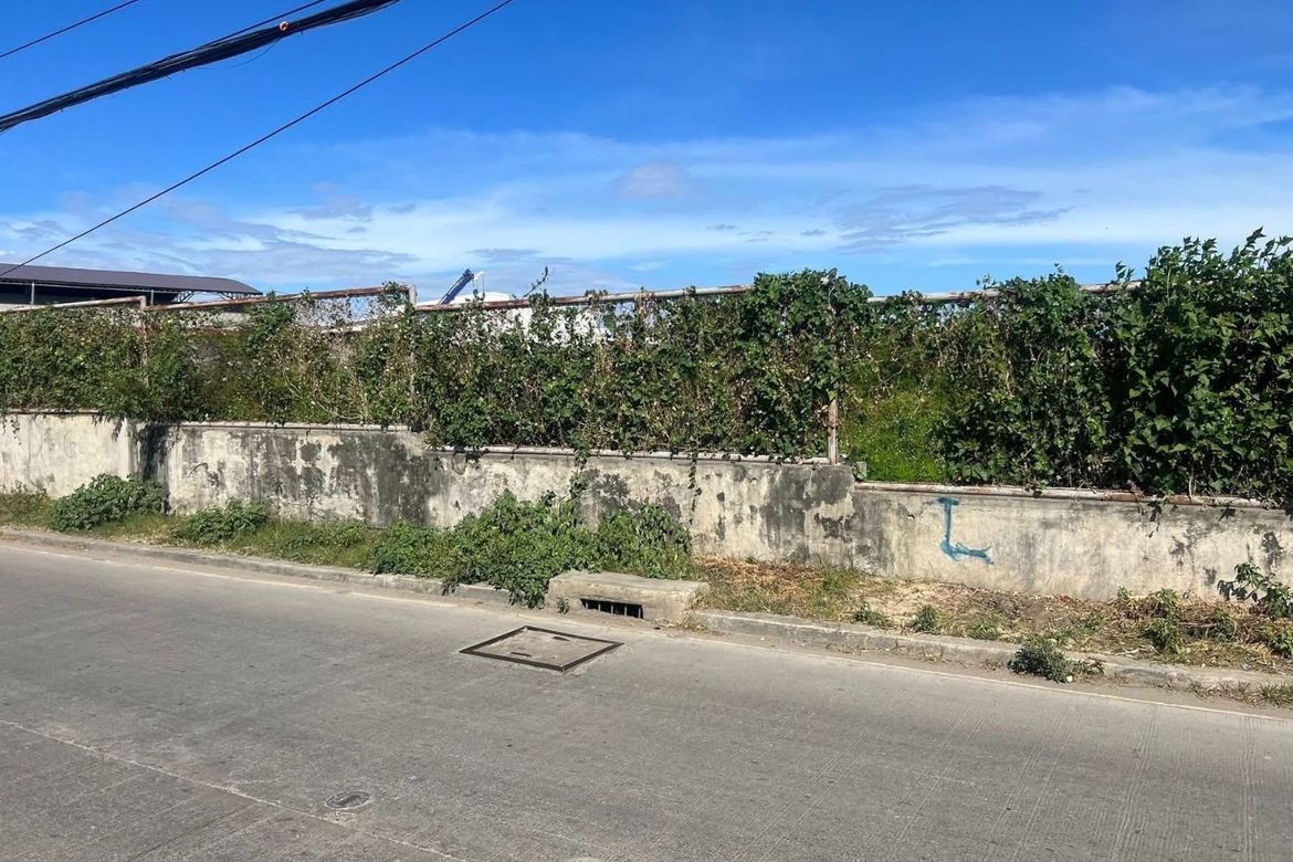 Land for Sale in Agus, Lapu-Lapu, Cebu – photo 3