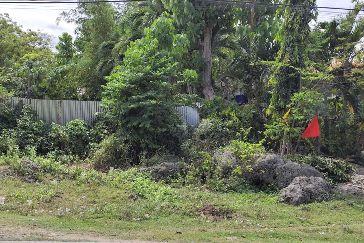 Land for Sale in Agus, Lapu-Lapu, Cebu – photo 2