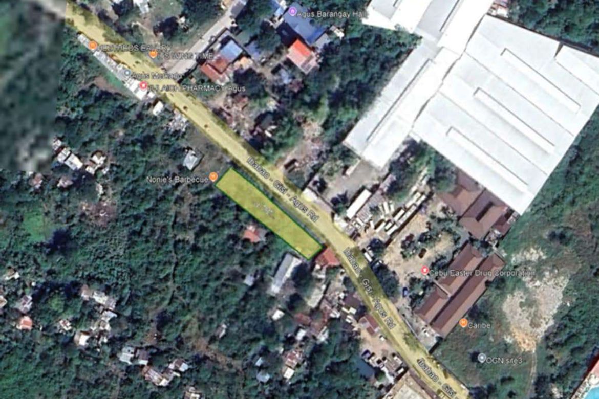 Land for Sale in Agus, Lapu-Lapu, Cebu – photo 3