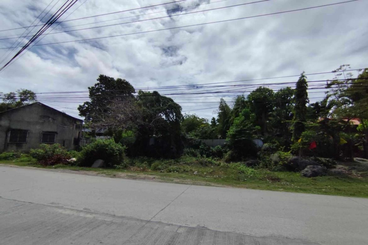 Land for Sale in Agus, Lapu-Lapu, Cebu – photo 7