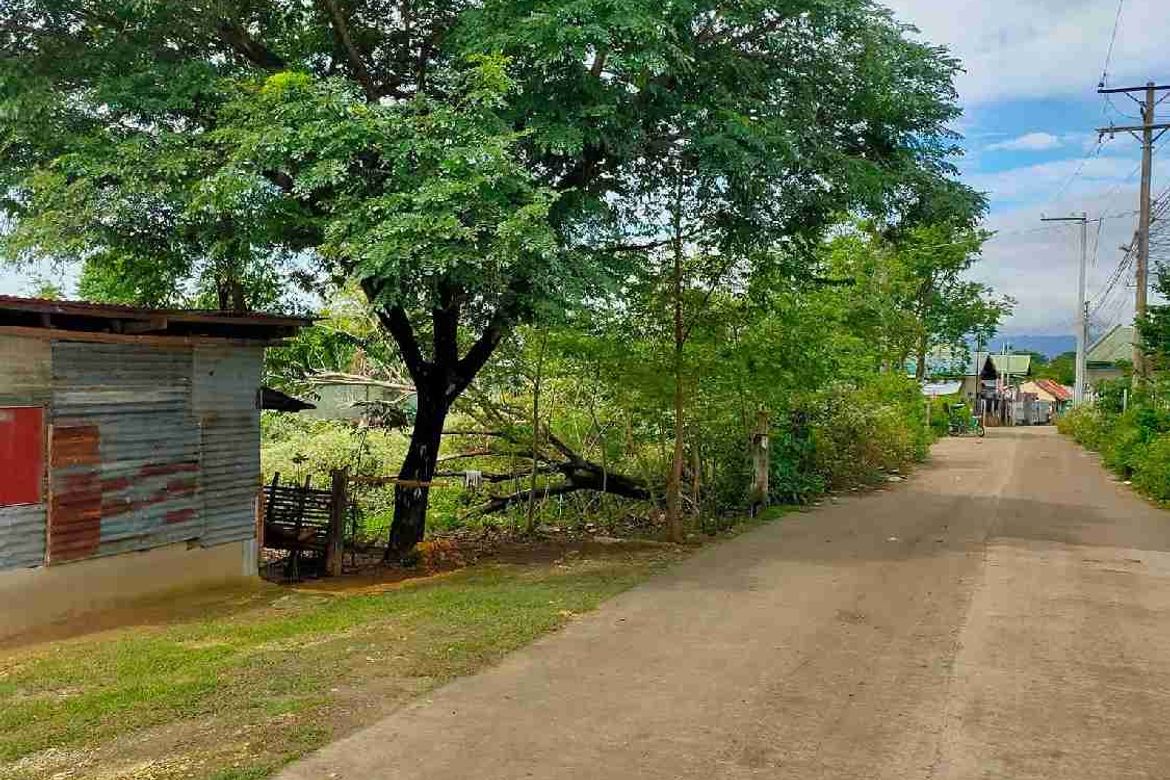 Land for Sale in Agus, Lapu-Lapu, Cebu – photo 7