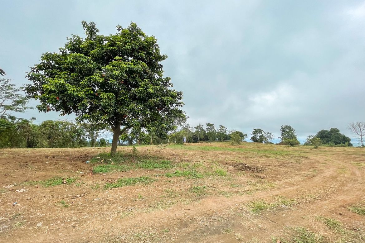 Land for Sale in Agusan, Cagayan de Oro, Misamis Oriental – photo 4