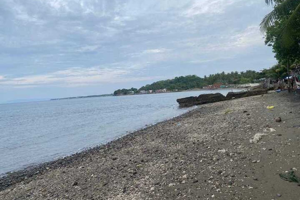 Land for Sale in Ajong, Sibulan, Negros Oriental