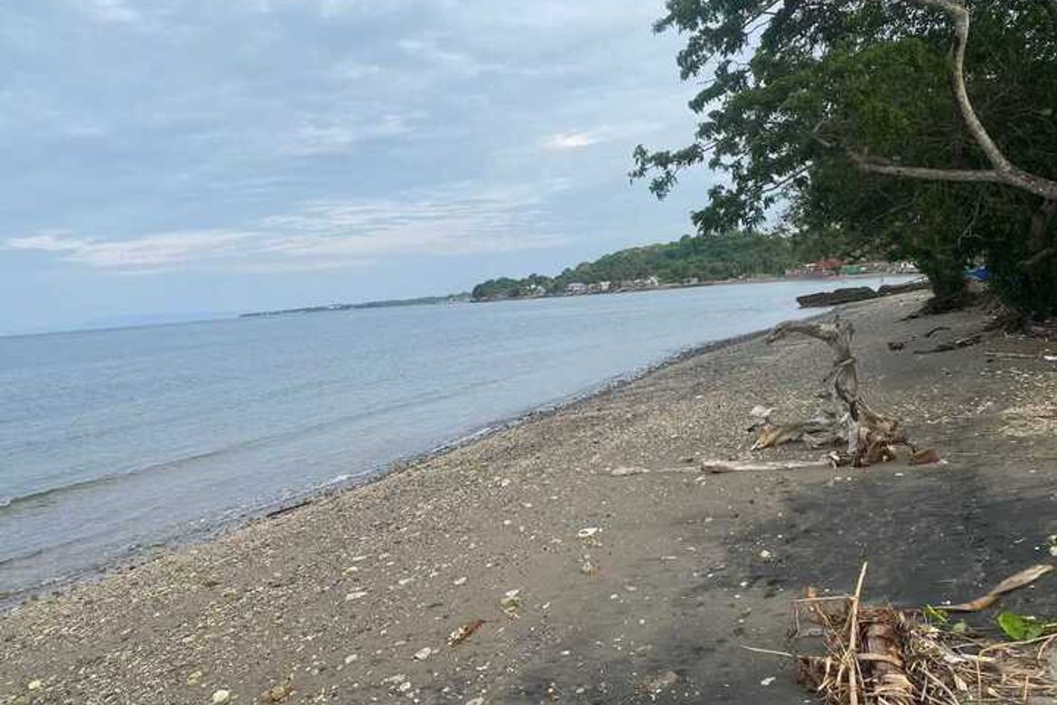 Land for Sale in Ajong, Sibulan, Negros Oriental – photo 2