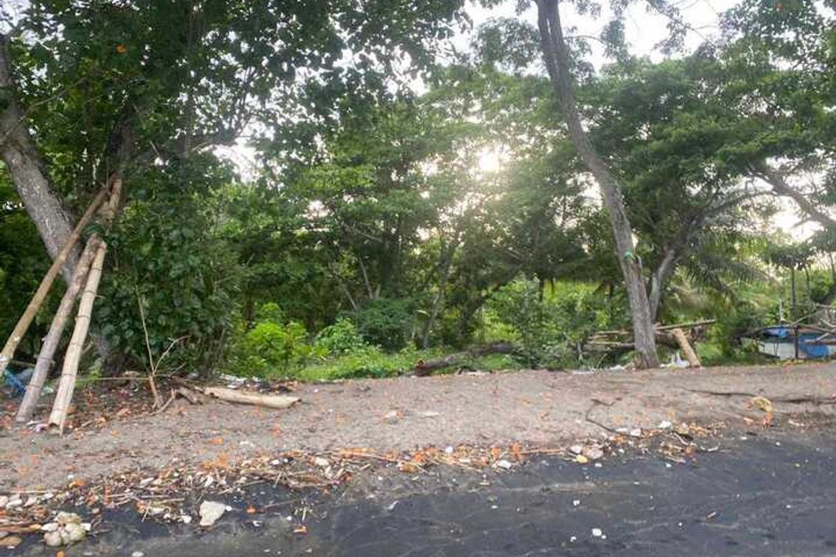 Land for Sale in Ajong, Sibulan, Negros Oriental – photo 7