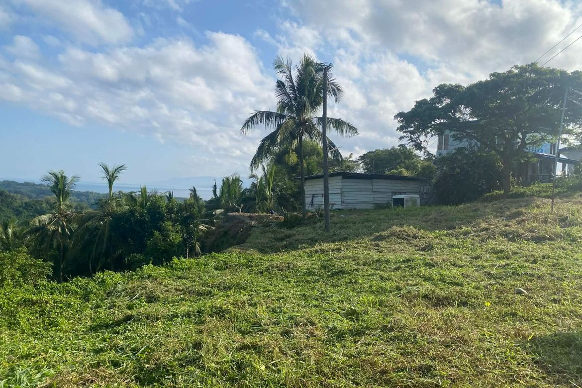 Land for Sale in Ajong, Sibulan, Negros Oriental – photo 2