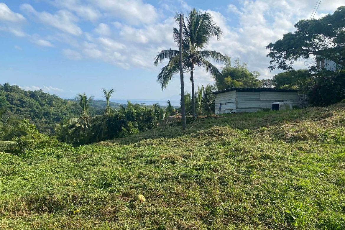 Land for Sale in Ajong, Sibulan, Negros Oriental – photo 5
