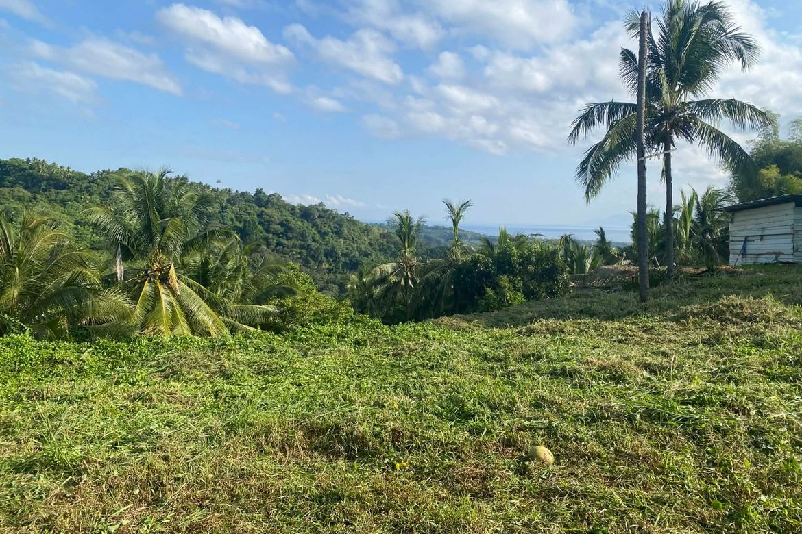 Land for Sale in Ajong, Sibulan, Negros Oriental – photo 6