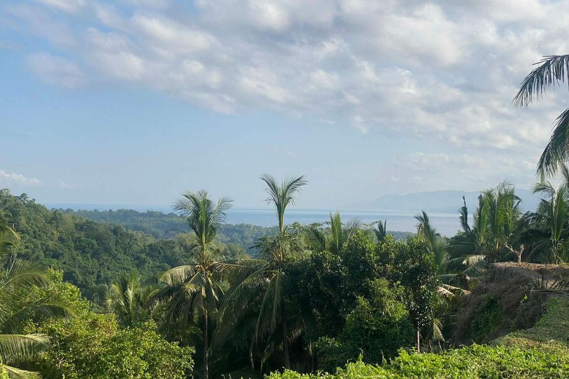 Land for Sale in Ajong, Sibulan, Negros Oriental – photo 7