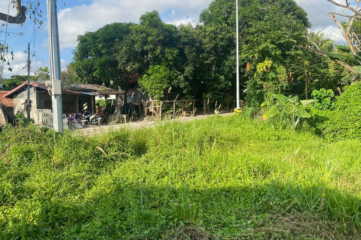 Land for Sale in Ajong, Sibulan, Negros Oriental – photo 8