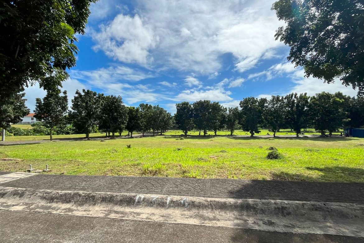 Land for Sale in Alabang, Muntinlupa, Metro Manila