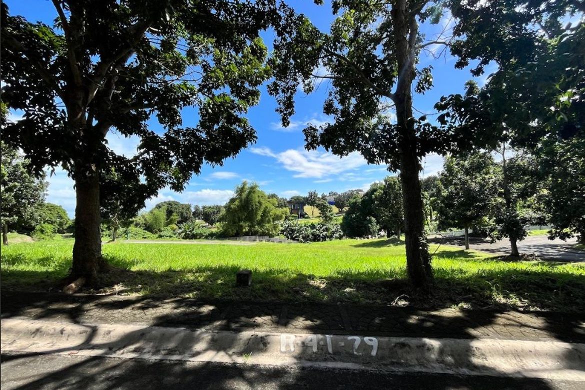 Land for Sale in Alabang, Muntinlupa, Metro Manila – photo 5