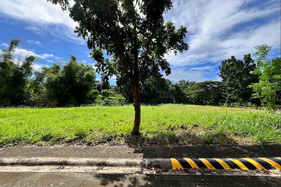 Land for Sale in Alabang, Muntinlupa, Metro Manila – photo 6