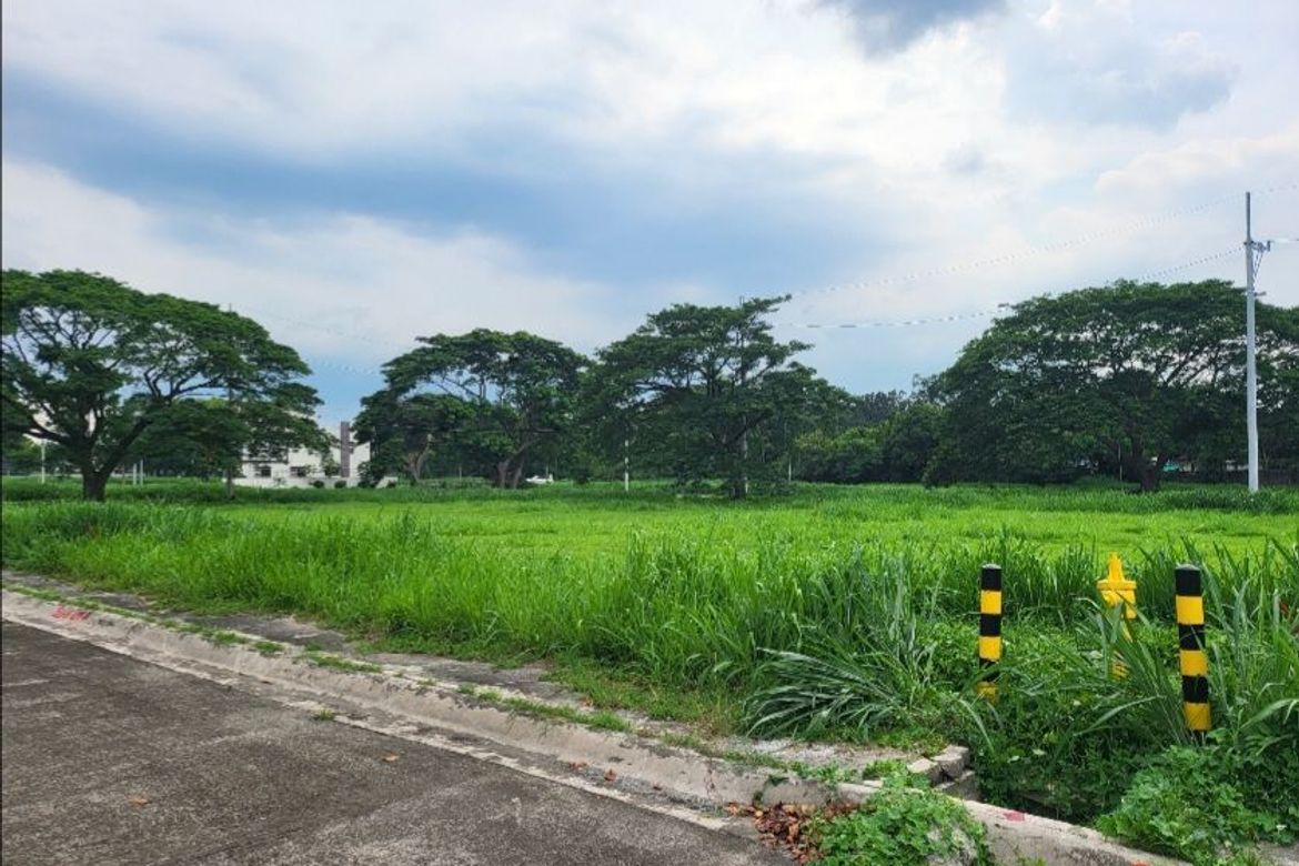 Land for Sale in Alabang, Muntinlupa, Metro Manila