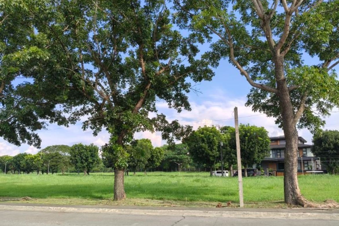 Land for Sale in Alabang, Muntinlupa, Metro Manila – photo 8