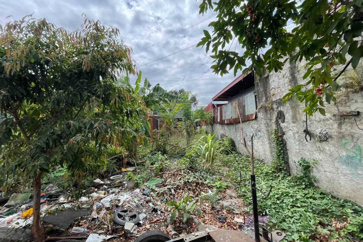 Land for Sale in Alabang, Muntinlupa, Metro Manila – photo 3