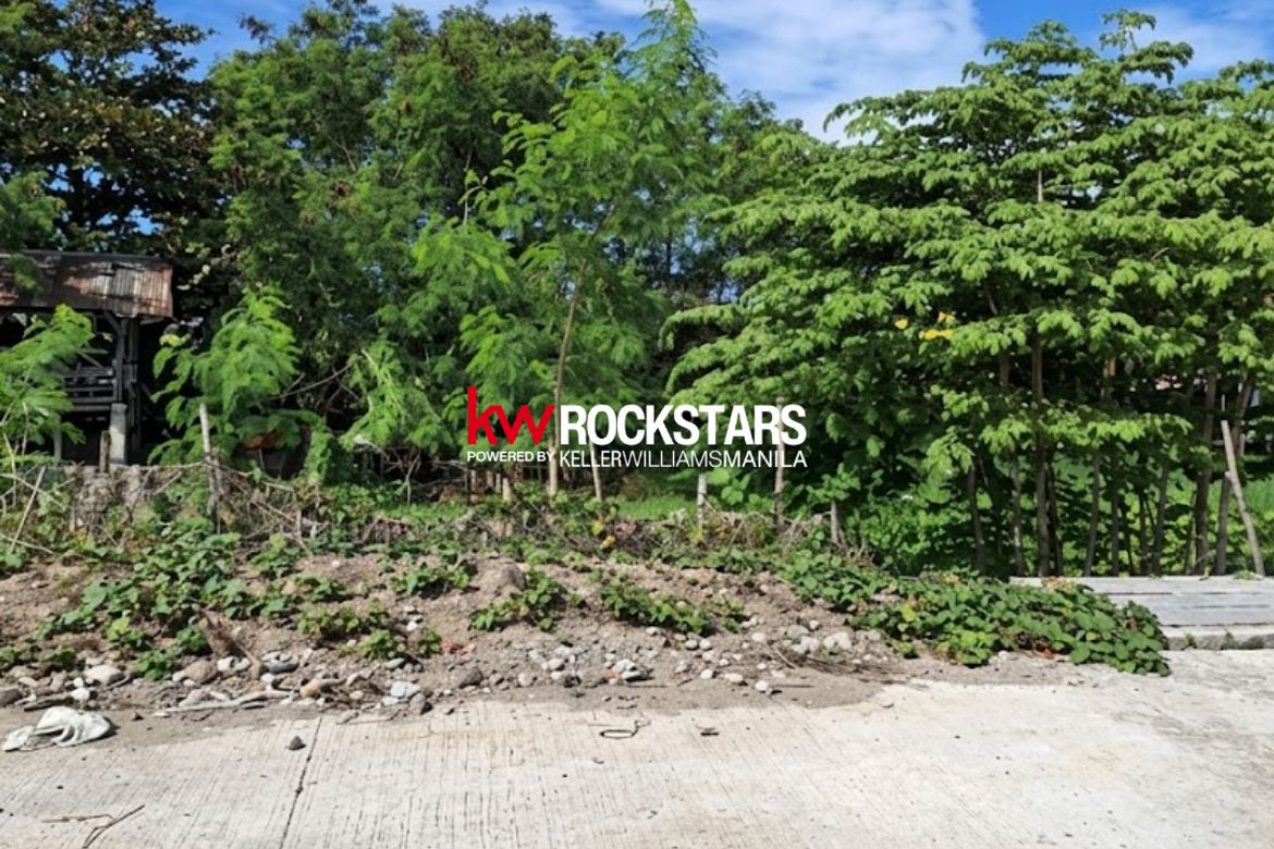 Land for Sale in Alabang, Muntinlupa, Metro Manila – photo 4