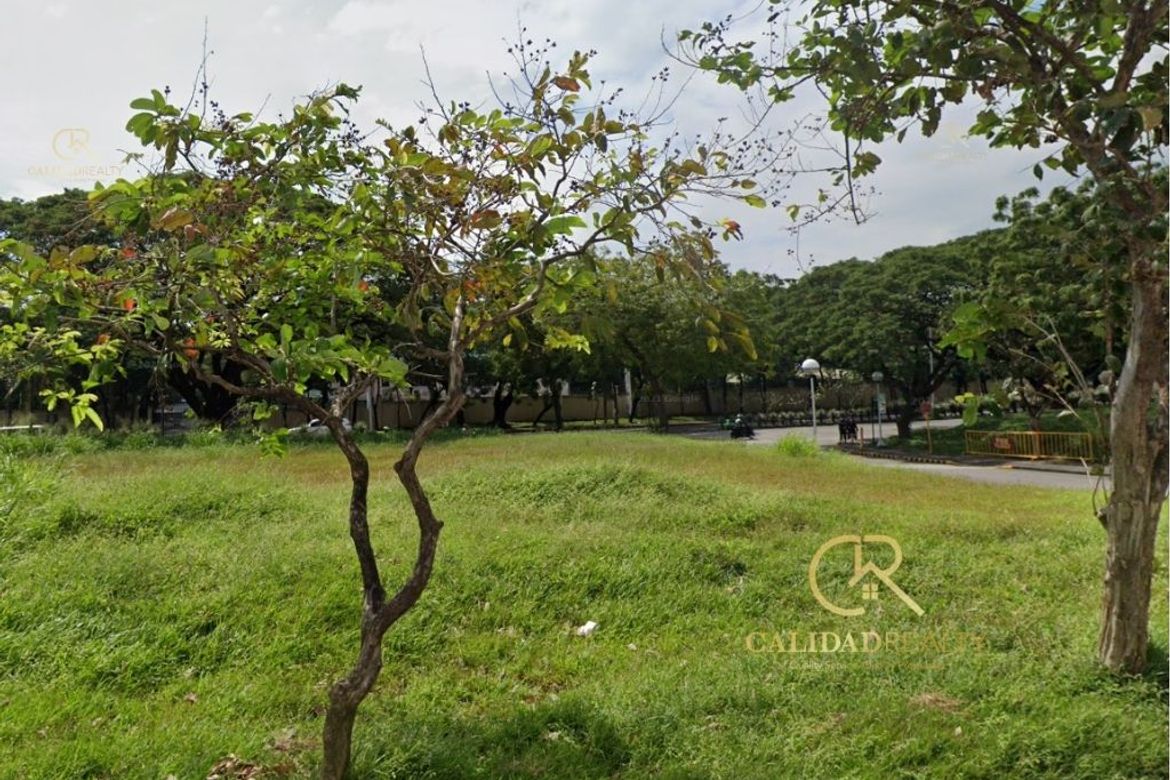 Land for Sale in Alabang, Muntinlupa, Metro Manila – photo 2