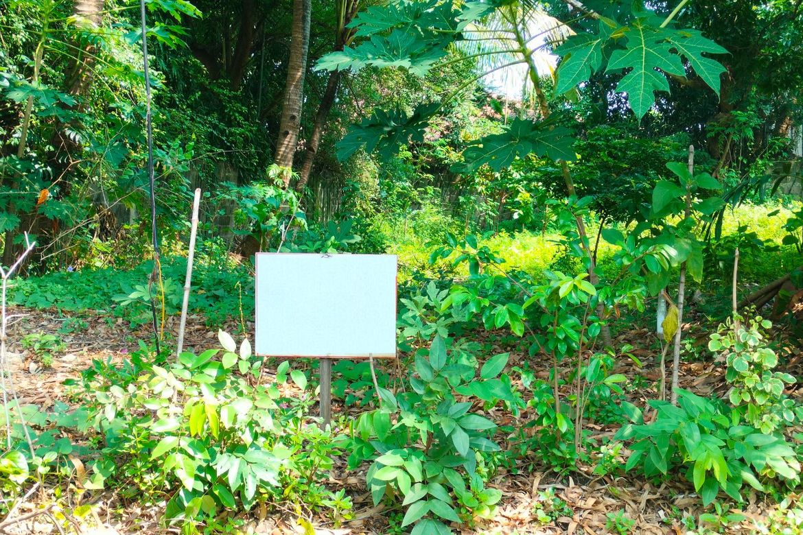 Land for Sale in Alabang, Muntinlupa, Metro Manila