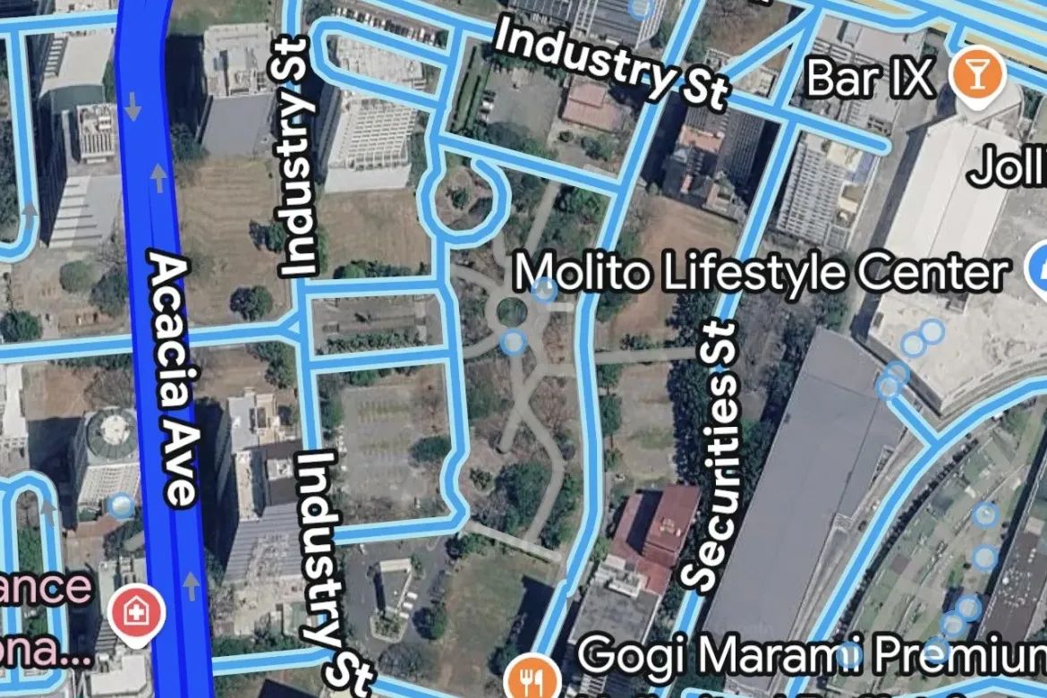 Land for Sale in Alabang, Muntinlupa, Metro Manila – photo 4