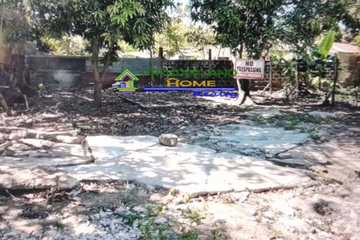 Land for Sale in Alabang, Muntinlupa, Metro Manila