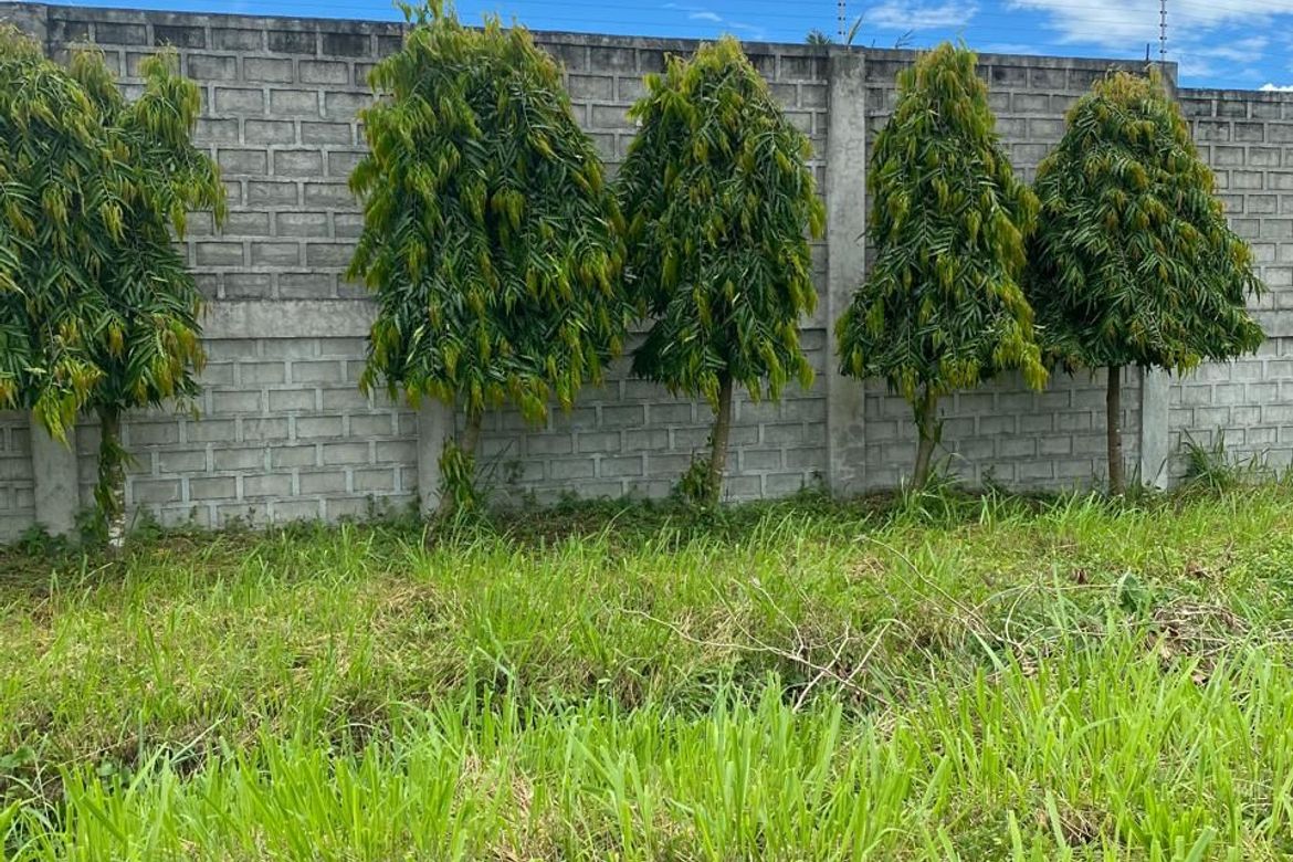 Land for Sale in Alabang West Village, Almanza Dos, Las Piñas, Metro Manila – photo 6