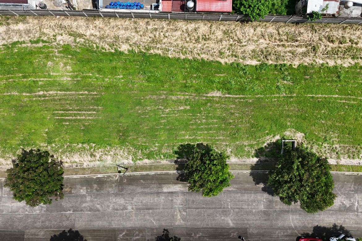 Land for Sale in Alabang West Village, Almanza Dos, Las Piñas, Metro Manila – photo 3