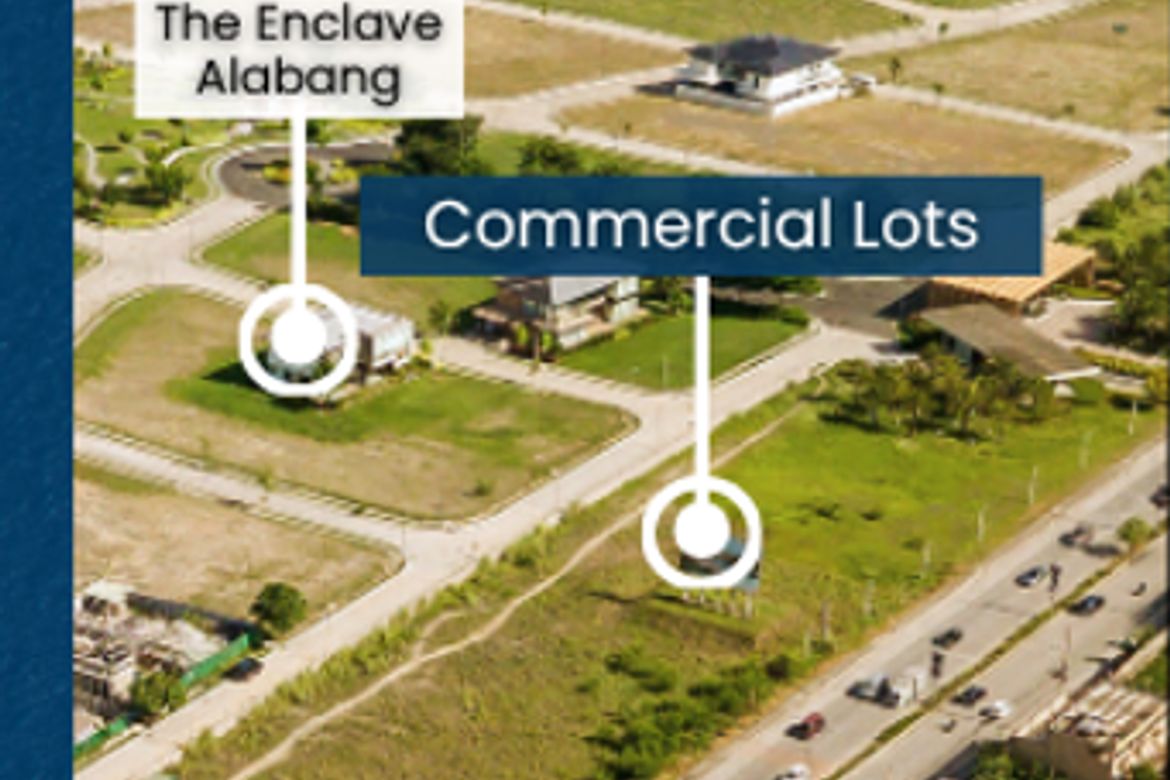 Land for Sale in Alabang West Village, Almanza Dos, Las Piñas, Metro Manila – photo 5