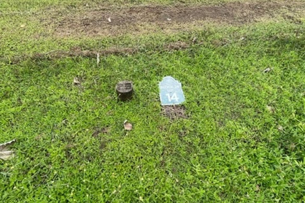 Land for Sale in Alabang West Village, Almanza Dos, Las Piñas, Metro Manila – photo 2