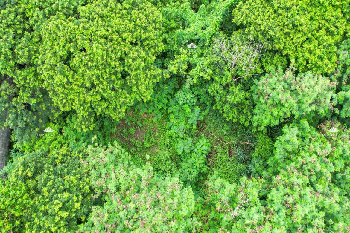 Land for Sale in Alabang West Village, Almanza Dos, Las Piñas, Metro Manila – photo 4