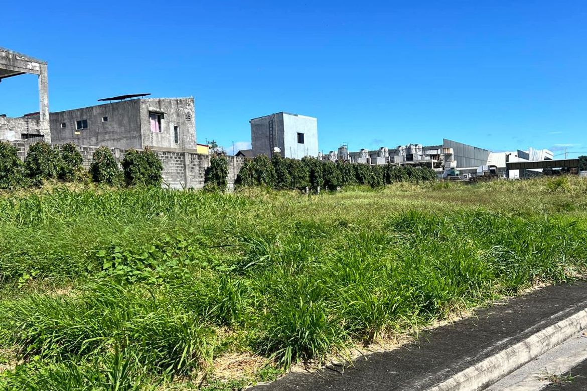 Land for Sale in Alabang West Village, Almanza Dos, Las Piñas, Metro Manila – photo 4