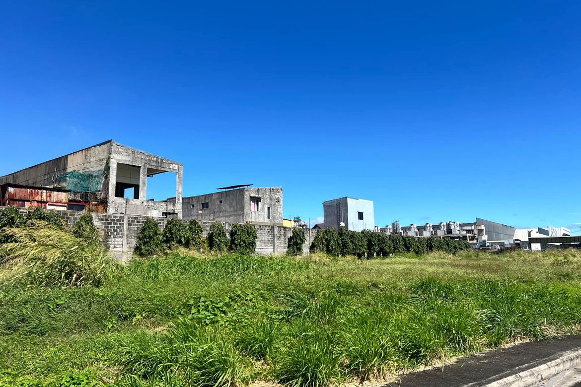 Land for Sale in Alabang West Village, Almanza Dos, Las Piñas, Metro Manila – photo 8
