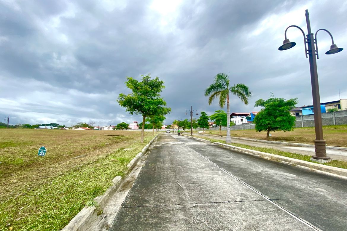 Land for Sale in Alabang West Village, Almanza Dos, Las Piñas, Metro Manila – photo 2