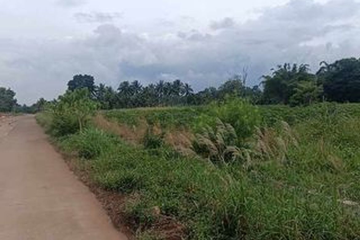 Land for Sale in Alae, Manolo Fortich, Bukidnon