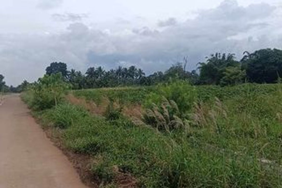 Land for Sale in Alae, Manolo Fortich, Bukidnon – photo 4