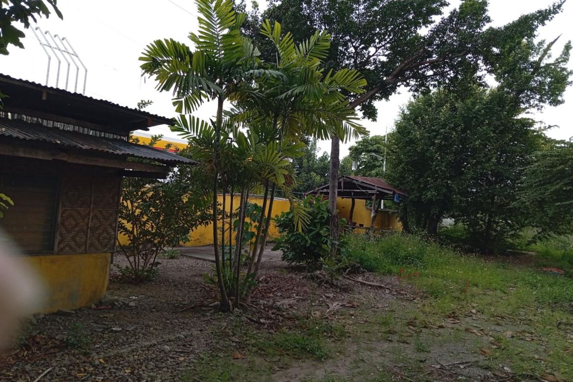 Land for Sale in Alang-Alang, Mandaue, Cebu – photo 4