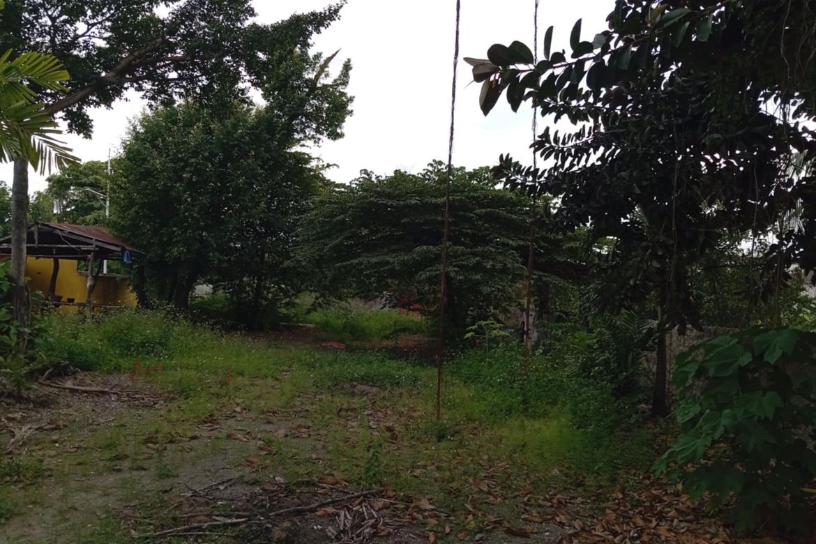 Land for Sale in Alang-Alang, Mandaue, Cebu – photo 7