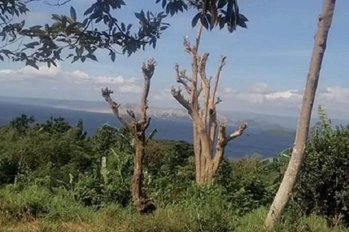 Land for Sale in Alangilan, Balete, Batangas – photo 2