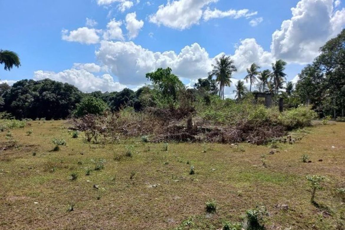 Land for Sale in Alangilan, Batangas City, Batangas – photo 2